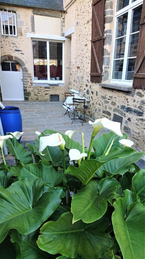 Appartement T2 Le Cocoön rez-de-jardin au calme Vitré Extérieur photo