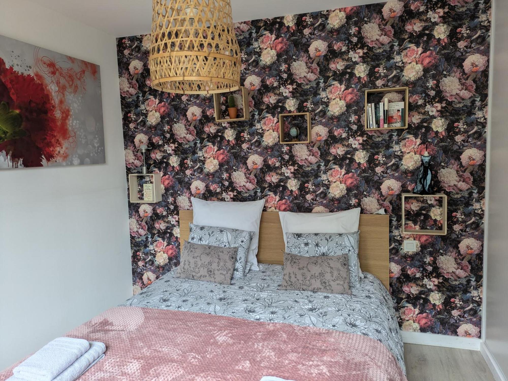 Appartement T2 Le Cocoön rez-de-jardin au calme Vitré Extérieur photo